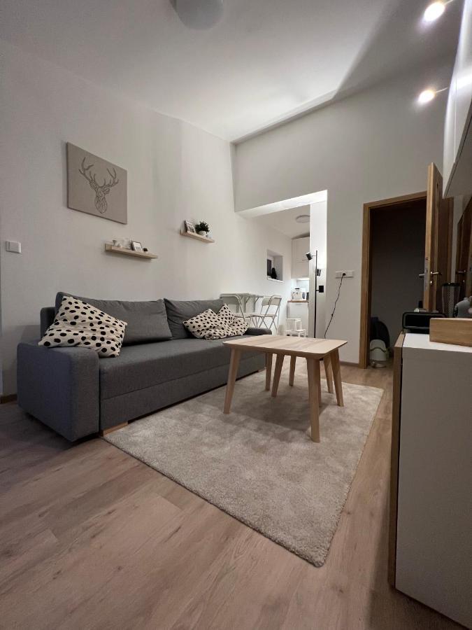 Apartman U Potoka Dolni Morava Bagian luar foto