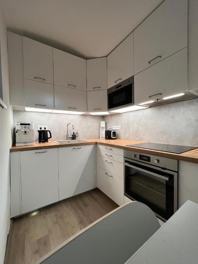 Apartman U Potoka Dolni Morava Bagian luar foto